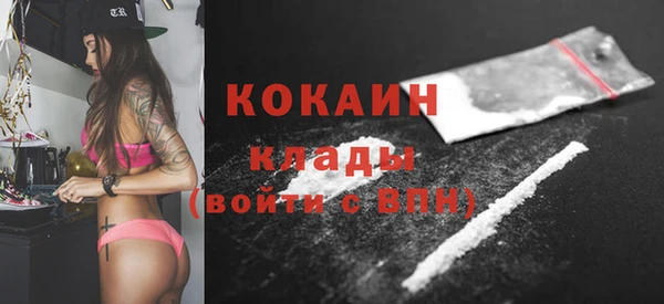 прущий лед Каменка