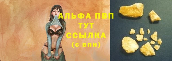 прущий лед Каменка