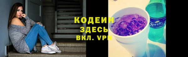 прущий лед Каменка