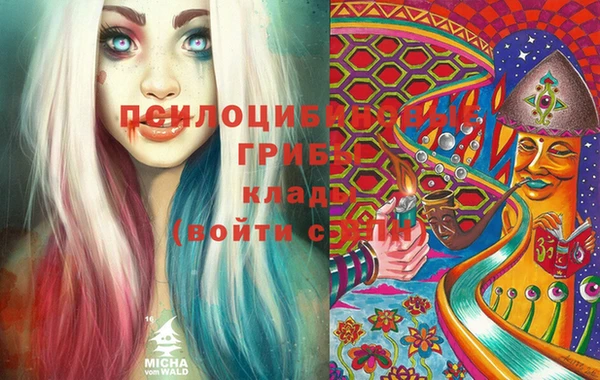 прущий лед Каменка